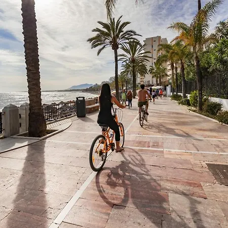 Jardines Del Mar 527