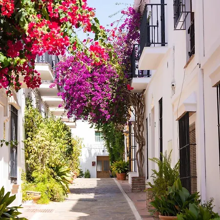 Jardines Del Mar 527