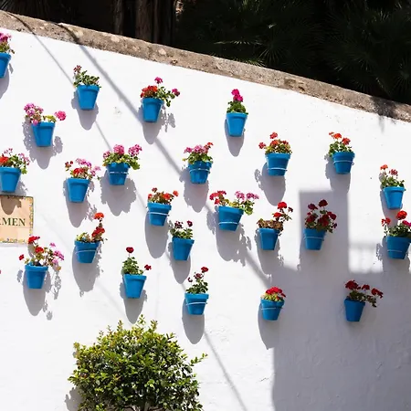 Jardines Del Mar 527 아파트 마르베야