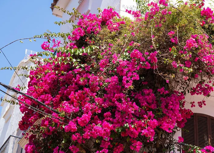 Апартаменти Jardines Del Mar 527 *