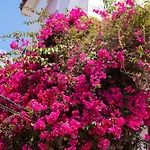 דירה Jardines Del Mar 527 *